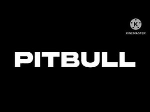 Pitbull Ft. Christina Aguilera: Feel This Moment (PAL/High Tone Only) (2012)