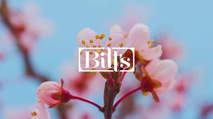 🌼 SPRING INTO BILL’S 🌼 Wake up from sleepy winter slumbers and get ready for Spring with the new menu at Bill’s. Get a taste of our new dishes on the blog: https://bills-web.co/2TjyyAo | Bill's
