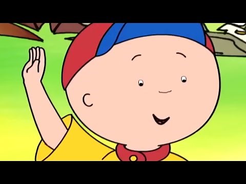 Caillou and Voting | Caillou Cartoon