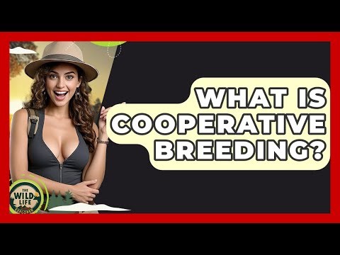 What Is Cooperative Breeding? - The Wild Life Explorer