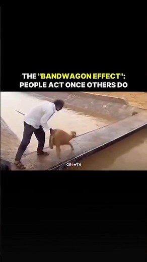 The Bandwagon Effect: People Act Once Others Do.