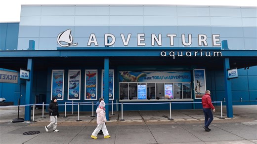 Adventure Aquarium opens 'The Boardwalk,' a shore inspired exhibit