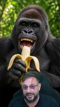 Can you feed bananas to monkeys? #biologohenrique #animals #smartanimal #biologist