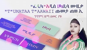 New Music አዲስ ሀላቢሳ ሙዚቃ | Halaba Media Network-ሀላባ ሚዲያ ኔትወርክ