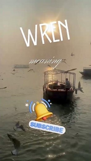 Wren name meaning