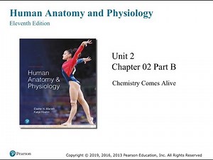 Anatomy and Physiology Chapter 2 Chemistry of Life Part B