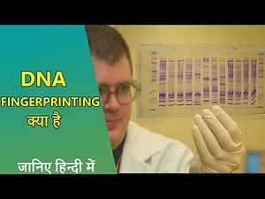 DNA fingerprinting I DNA fingerprinting class 12 I DNA fingerprinting in Hindi