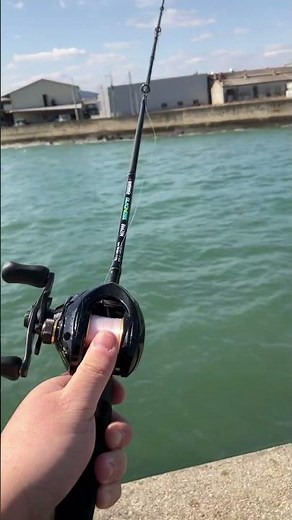 Shimano Bass one xt #shorts #baitcasting reel #fishing