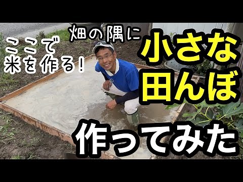 [Choco-Tan] I Tried Making a Tiny Rice Paddy in the Garden《Home Gardening/Self-Sufficiency/Pestic...
