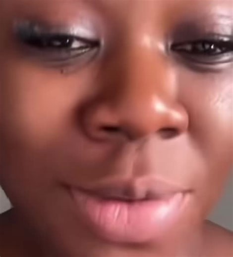 Create Search in Seisight: A Comprehensive Guide