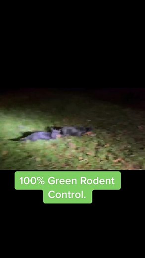 Twin home experts on TikTok