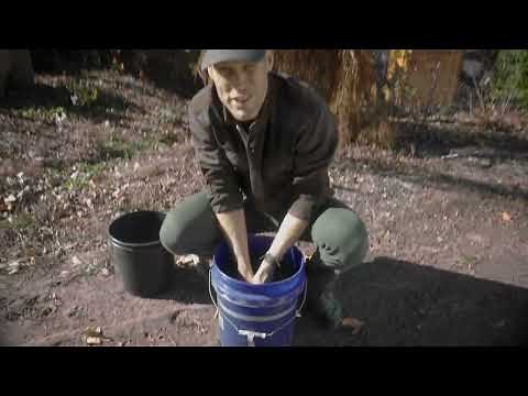 How to make compost tea