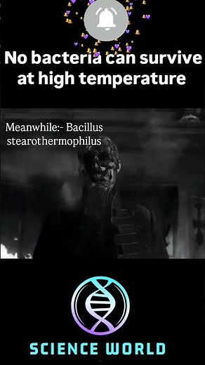 Bacillus stearothermophilus is a heat-loving bacterium #sciencefacts #science #bacteria