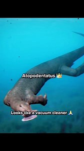 153K views · 3.1K reactions | Prehistoric animals that look like...