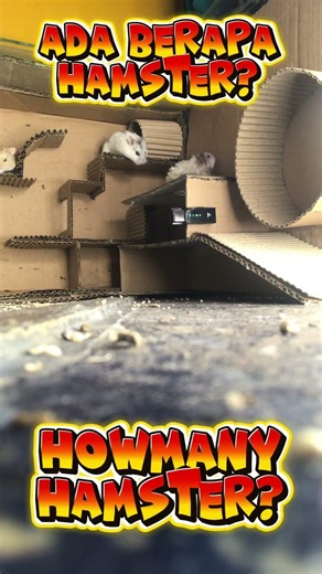 Hamster Trapped in a Crazy Maze 😱🐹 | Can You Count Them All?