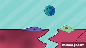 Inflammation within Muscle Regeneration on Make a GIF