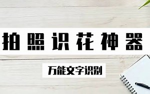 如何拍照识别花种？万能文字识别帮你轻松搞定花种识别