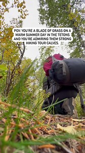 One app, 300,000 experiences you’ll remember. Do more with Viator. | Viator