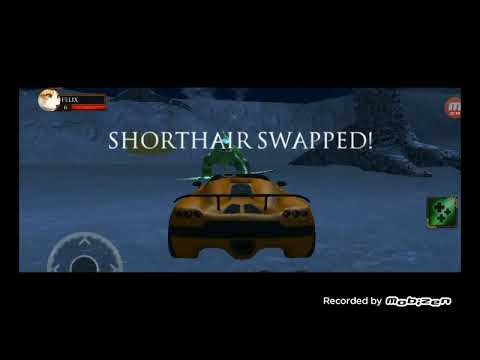 Ultimate Cat Simulator All bosses