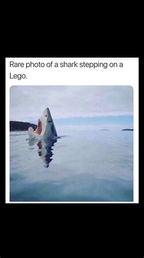 Johnny Bravo Explains Memes on Instagram: "Hey everyone, Johnny here to explain. This meme humorously captions a dramatic photo of a shark with its mouth wide open above the waterline, appearing as if it's in immense pain or shock, with the line: "Rare photo of a shark stepping on a Lego." The joke lies in the absurdity and impossibility of the situation — sharks obviously don’t have feet, nor do they step on things — combined with the universal pain of accidentally stepping on a LEGO brick, whi