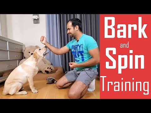How to Train your Dog/Puppy to Bark (Speak) and Spin | Easy Home Training