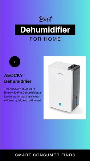 Best Dehumidifiers For Your Home Basement In 2025