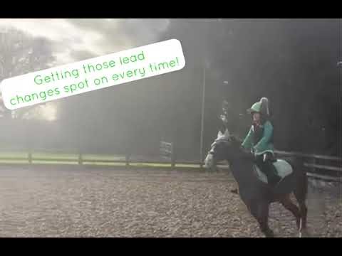 Fab jump lesson for these two!!! 💚