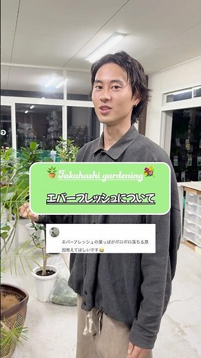 Everfresh growing video🪴 #houseplants #gardening #florist #plants #gardening #florist