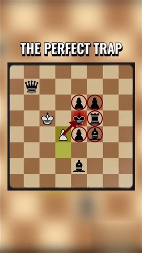 Most Beautiful Checkmate Pattern