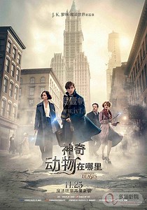 神奇动物在哪里-免费在线观看-爱壹帆