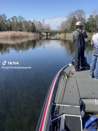 Living the dream, ##clean##bassfishing##gottoloveit##skeeterboats##fxr21##bullbayrods##thankful##bigbassguidefl##instagram##foryou##fyp##letshinetogether