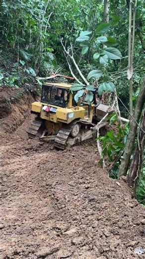 Bulldozer D6R XL Smart Solution for Plantation Roads