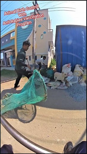 Double Net Attack Dog Catcher #shorts #dog #new #streetdogplabet44 #amazing