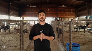 گوٹ لینڈ فارمز کا فُل وزٹ! 🐐 سات بکریوں کی نسلیں، بطخیں، بٹیرے، خرگوش، مچھلیاں اور نئے پراجیکٹس! 🌱🐇🐟 | Goat Land Farms