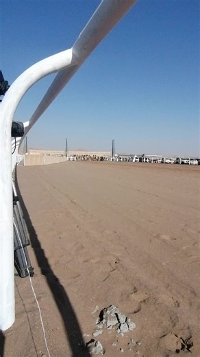Exciting Camel Race in the Desert