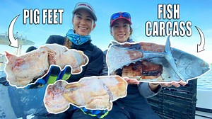41K views · 1.3K reactions | EXPERIMENT! BEST bait for CRABBING -...