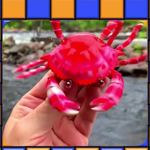 Crab Fun Facts! 🦀 They Have Ten Legs!