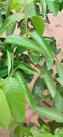 If you're a TTC M0m, you should know this. #ttcjourney #naturalcure | Christa Tv