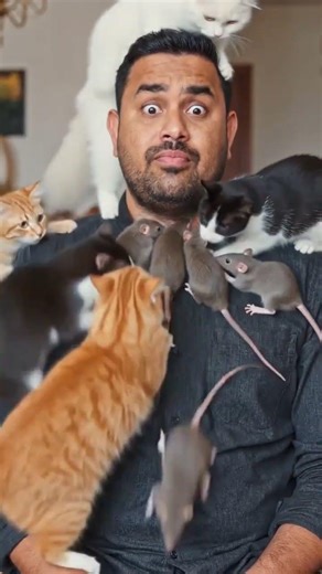 Cats are catching the rats 🤣April 15, 2026