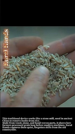 This Primitive Rice Tool Still Works Perfectly Today