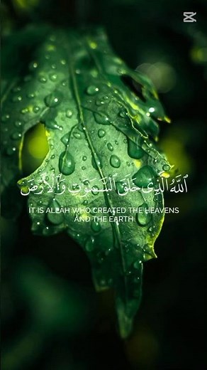 Surah As-Sajdah Beautiful Quran Recitation | best qari Quran Tilawat in the word