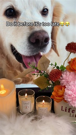 Heartfelt Dog Memorial Tribute for Charlie