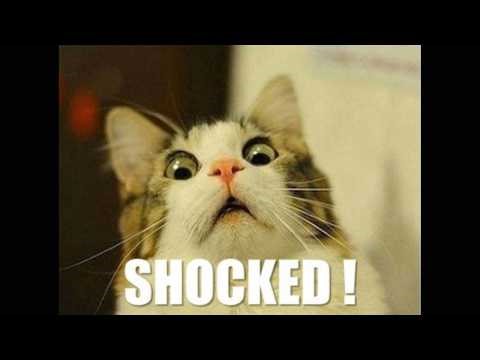 elmo jumpscare flipnote animation reupload (LOST MEDIA)