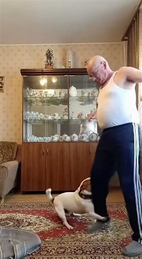 Ded presses record — dog interrupts