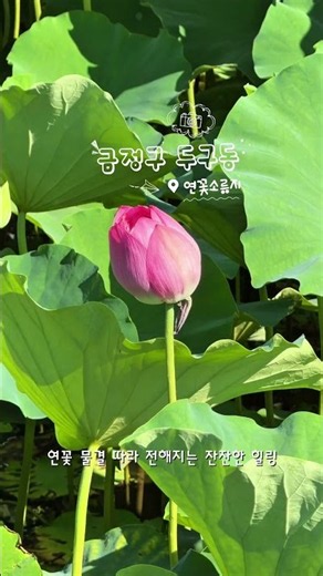 금정구 두구동 명소 3선 [김병현 서포터즈]