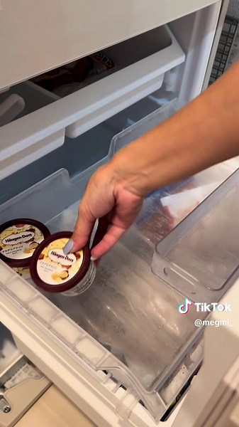 アイスクリームとラクトアイスの違い