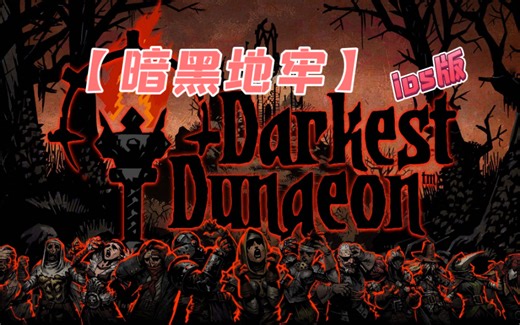 【暗黑地牢】ios ipad版 一款经典的roguelike风格回合制RPG游戏