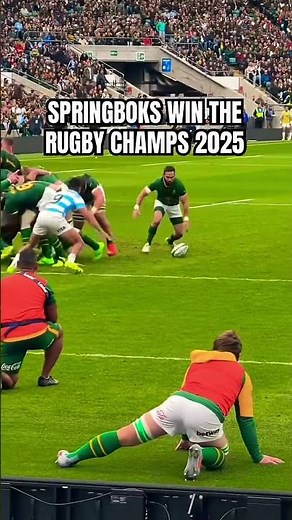 COBUS REINACH TRY VS ARGENTINA🔥 SPRINGBOKS WIN RUGBY CHAMPIONSHIP #springboks #rugby
