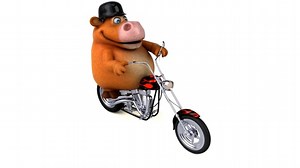 Cow, Overweight, Motorcycle. Free Stock Video