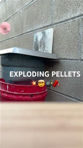 EDGUN WEST EXPLOSIVE PELLETS WARNING NOT A TOY
